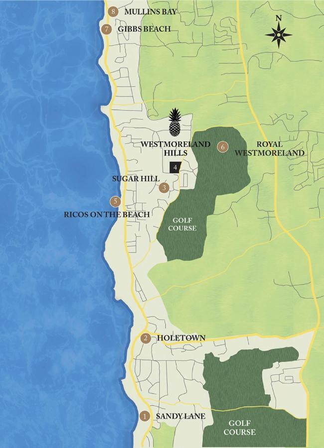 Westmoreland Hills - Mount Standfast - St James - Full Gym Membership Saint James Ngoại thất bức ảnh